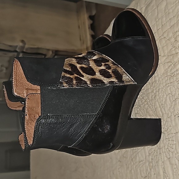 Hispanitas - Picture 6 of 8